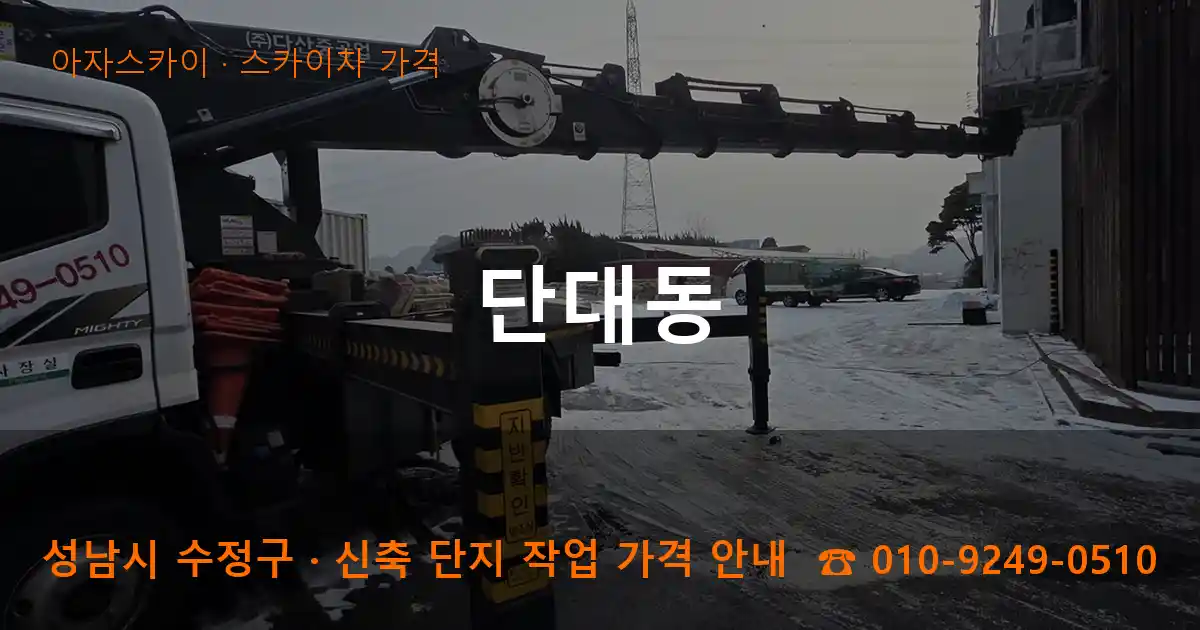 성남 수정구 단대동 스카이차 가격 작업