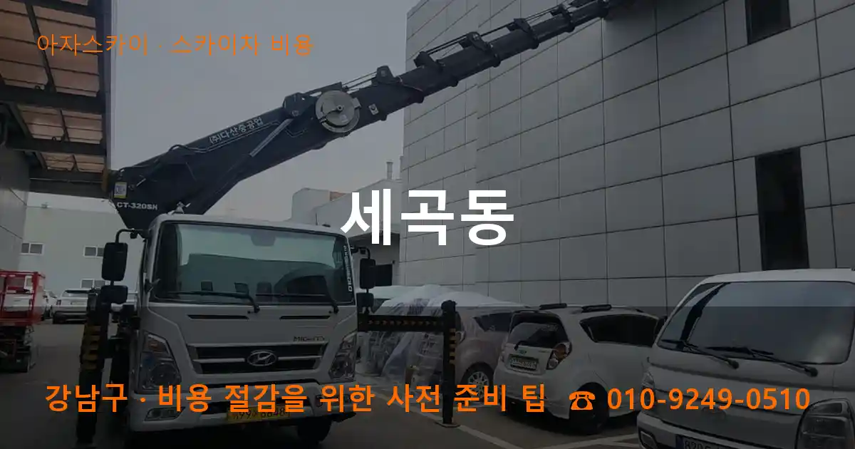 강남구 세곡동 스카이차 비용 작업