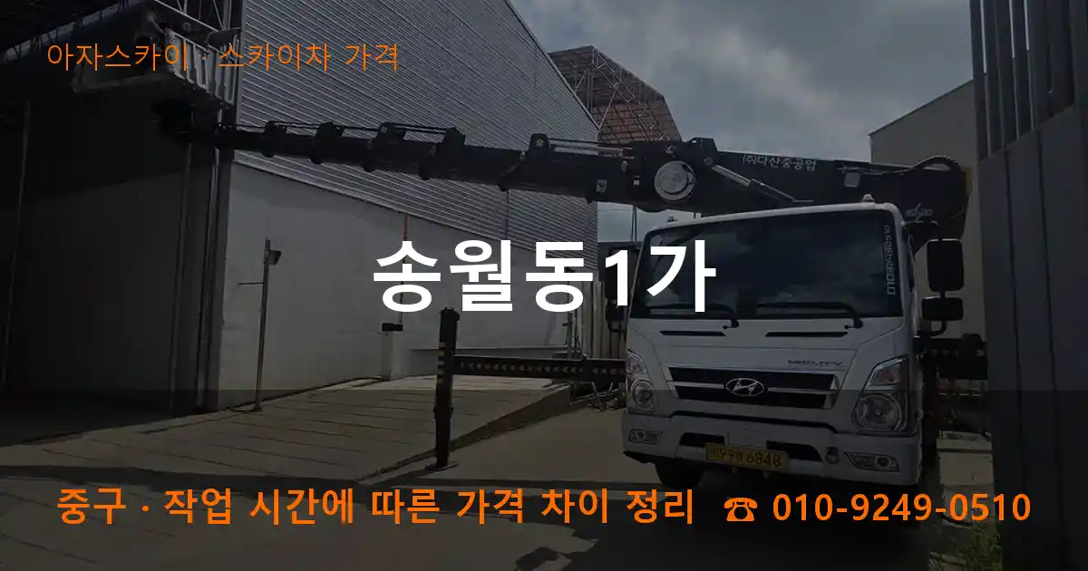 중구 송월동1가 스카이차 가격 작업