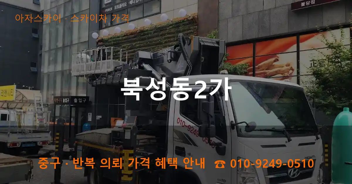 중구 북성동2가 스카이차 가격 작업