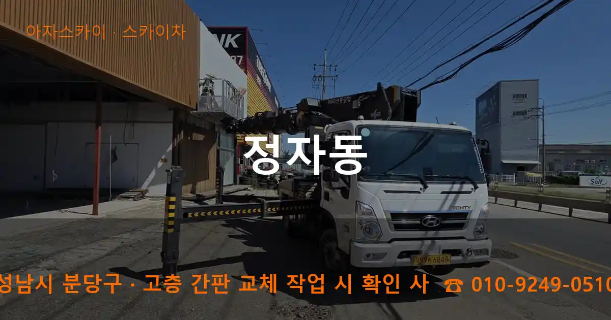 성남시 분당구 정자동 스카이차 작업