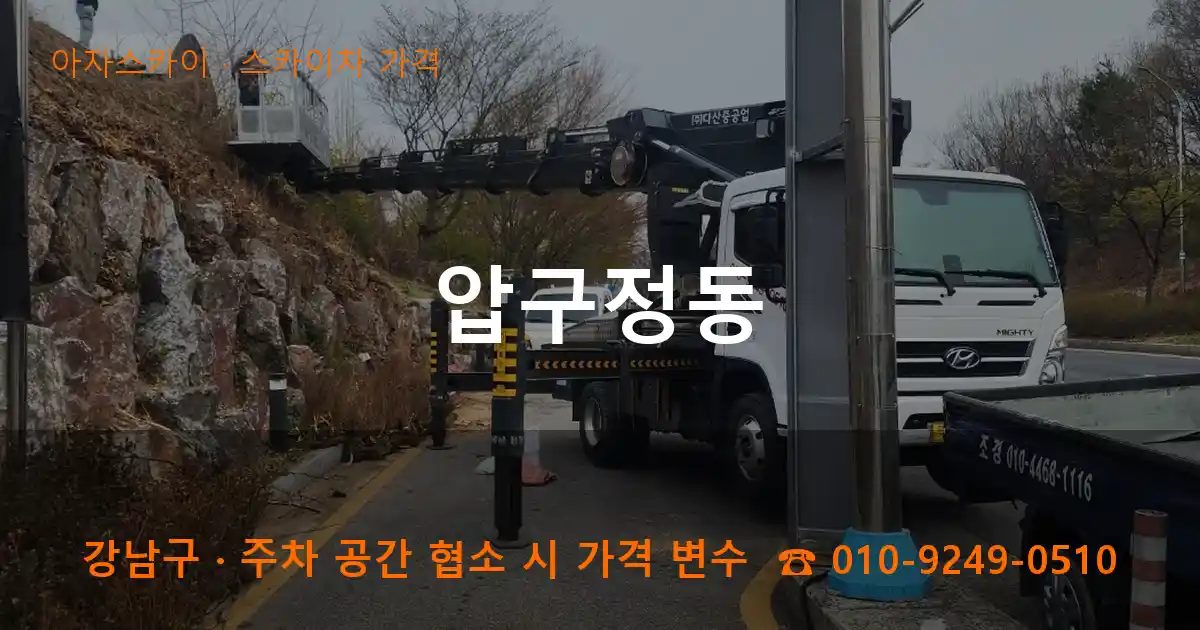 강남구 압구정동 스카이차 가격 작업