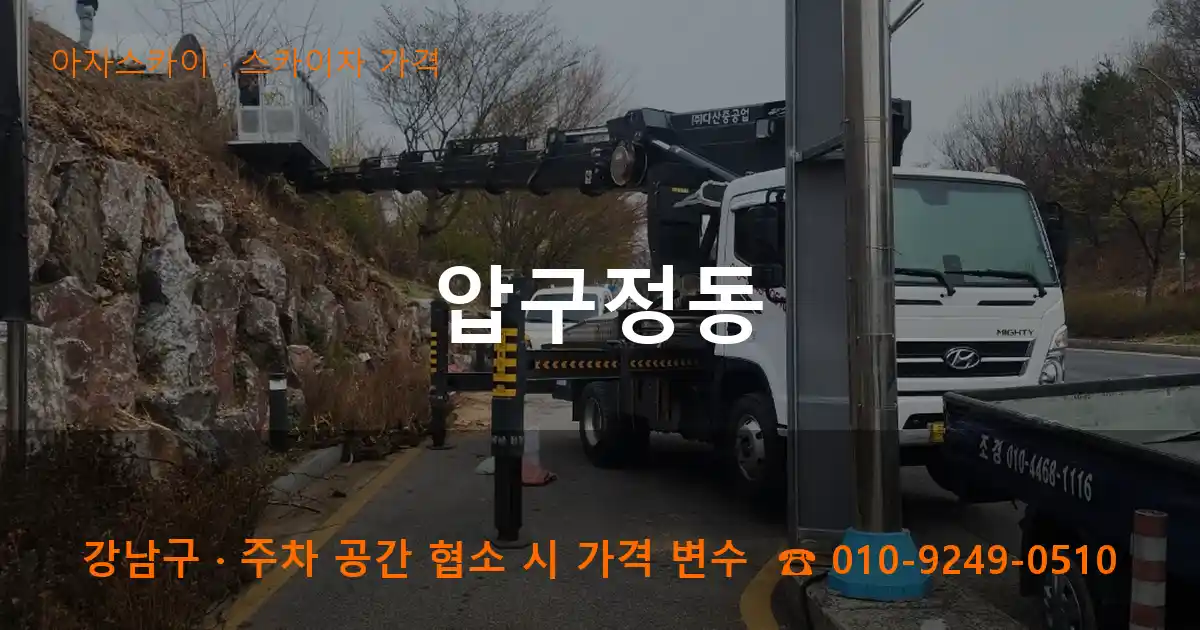 강남구 압구정동 스카이차 가격 작업