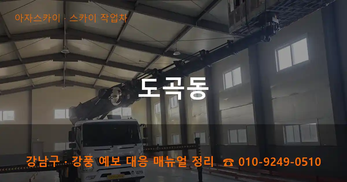 강남구 도곡동 스카이 작업차 작업