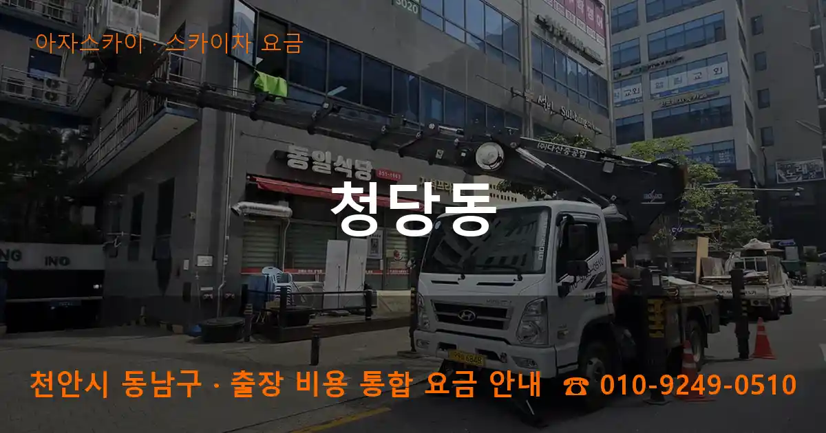 천안 동남구 청당동 스카이차 요금 작업