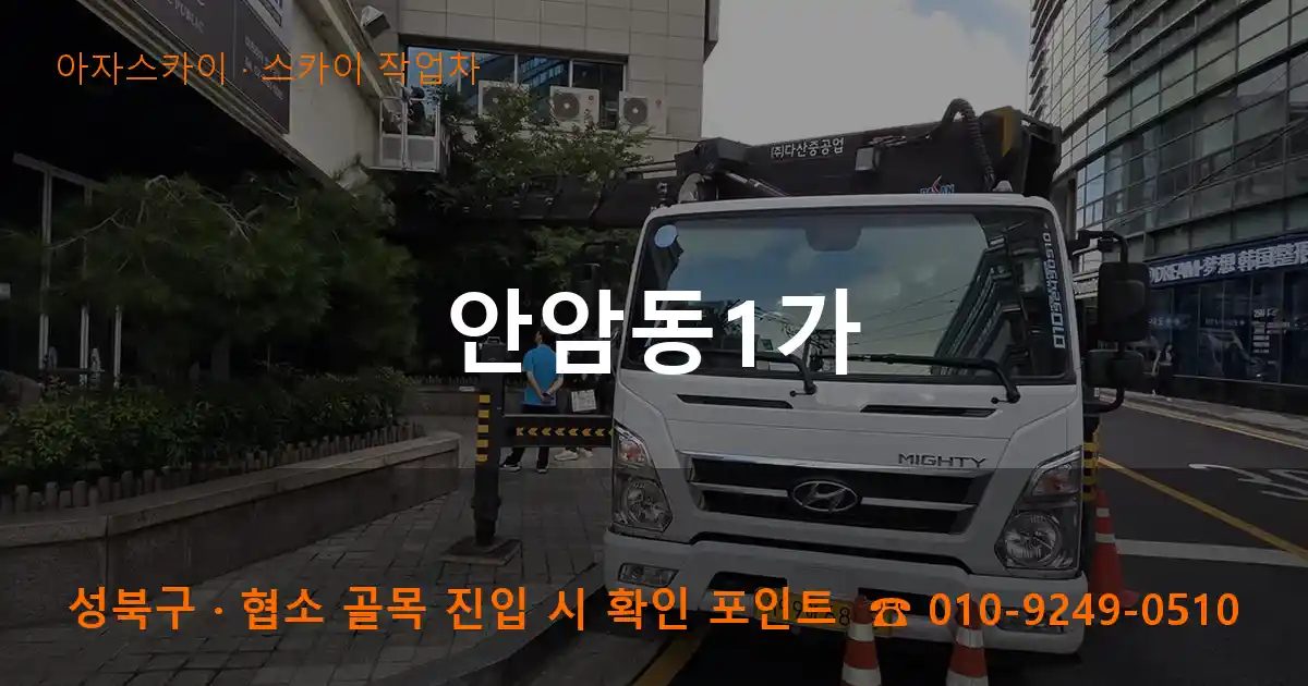 성북구 안암동1가 스카이 작업차 작업
