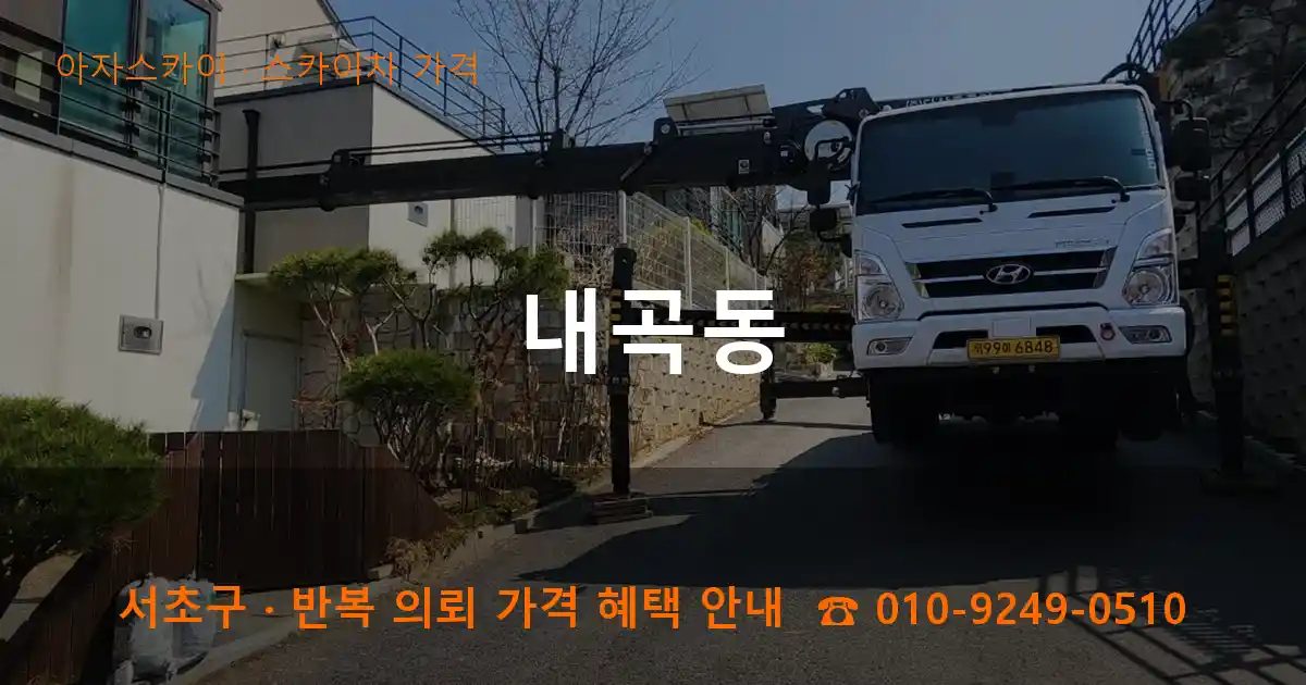 서초구 내곡동 스카이차 가격 작업