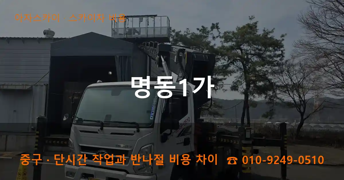 중구 명동1가 스카이차 비용 작업