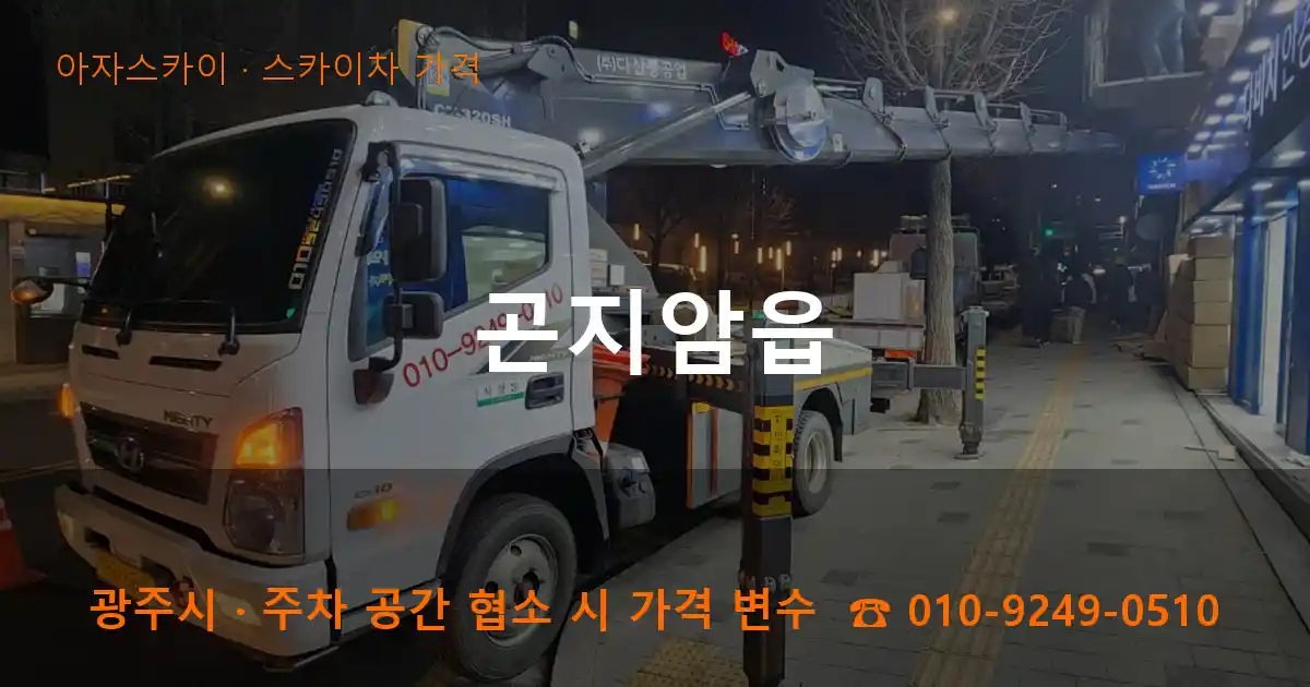 광주시 곤지암읍 스카이차 가격 작업