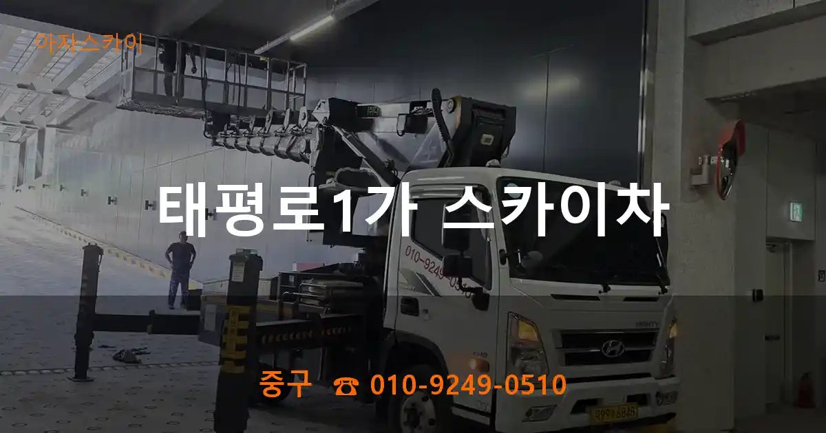 중구 태평로1가 스카이차