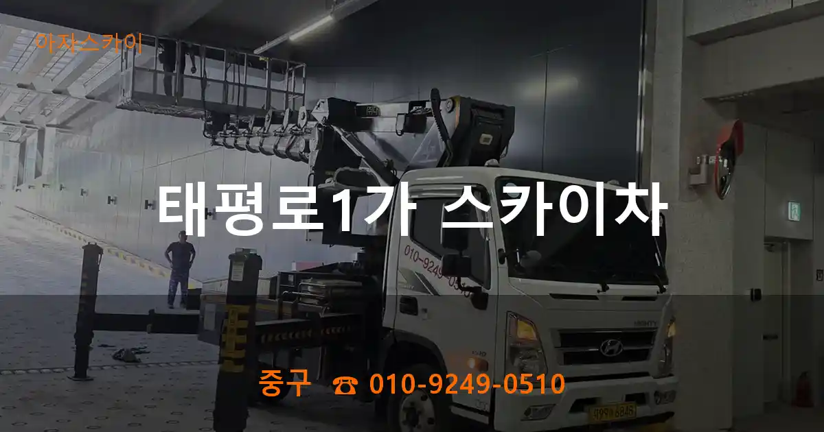중구 태평로1가 스카이차