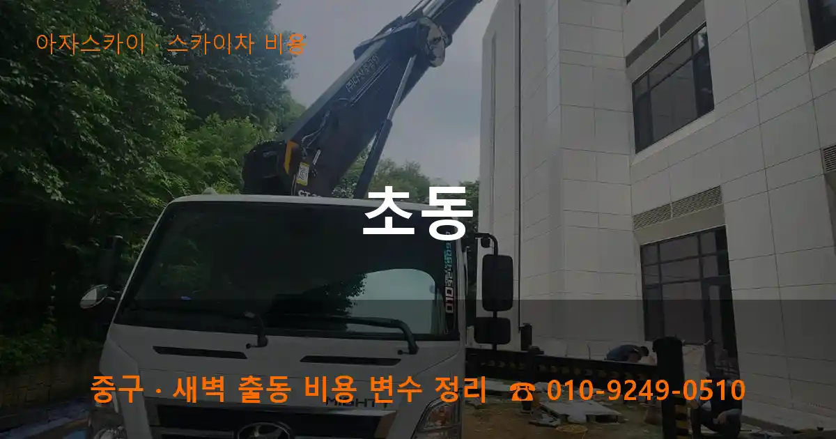 중구 초동 스카이차 비용 작업