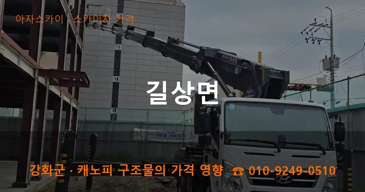 강화군 길상면 스카이차 가격 작업