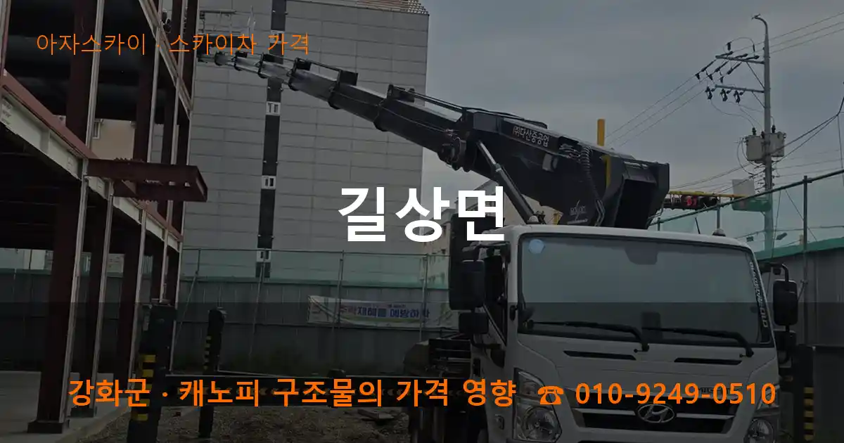 강화군 길상면 스카이차 가격 작업