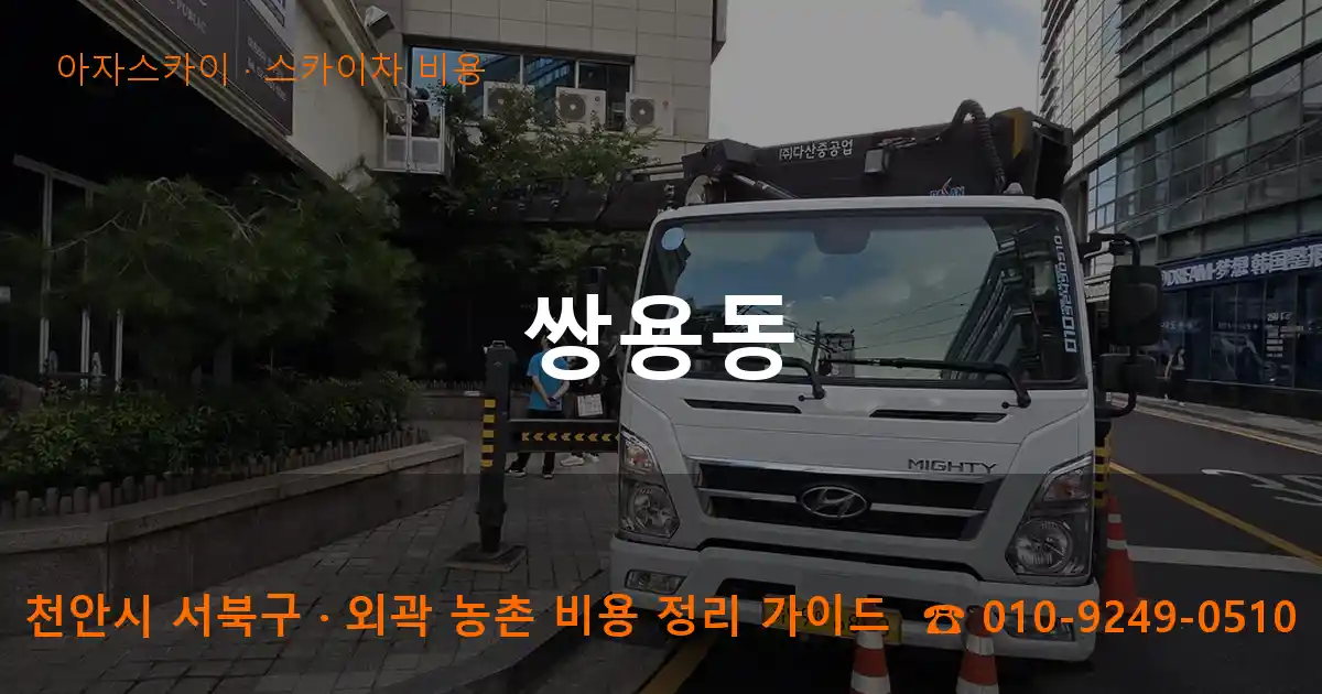 천안 서북구 쌍용동 스카이차 비용 작업