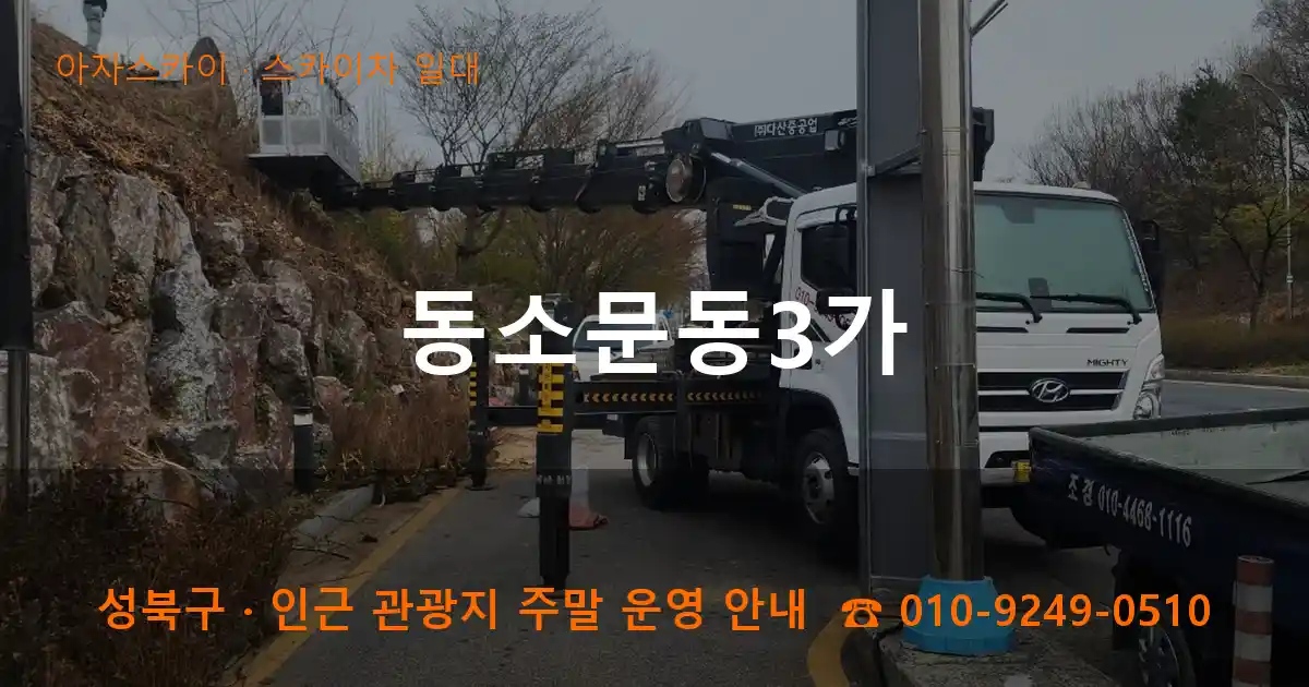 성북구 동소문동3가 스카이차 일대 작업