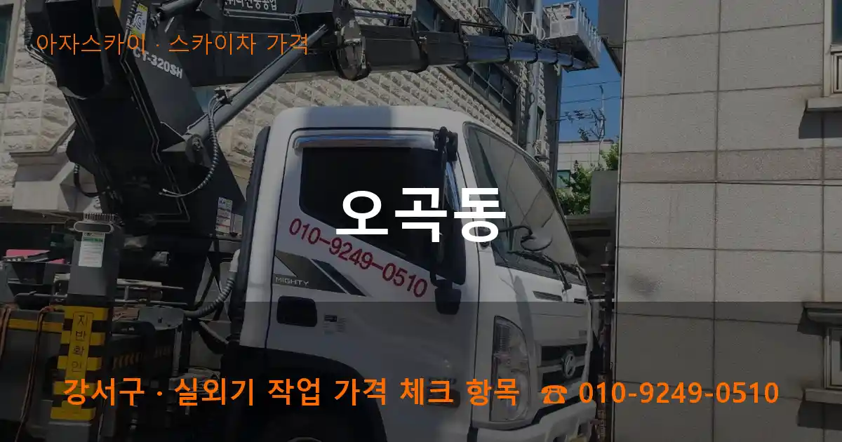 강서구 오곡동 스카이차 가격 작업