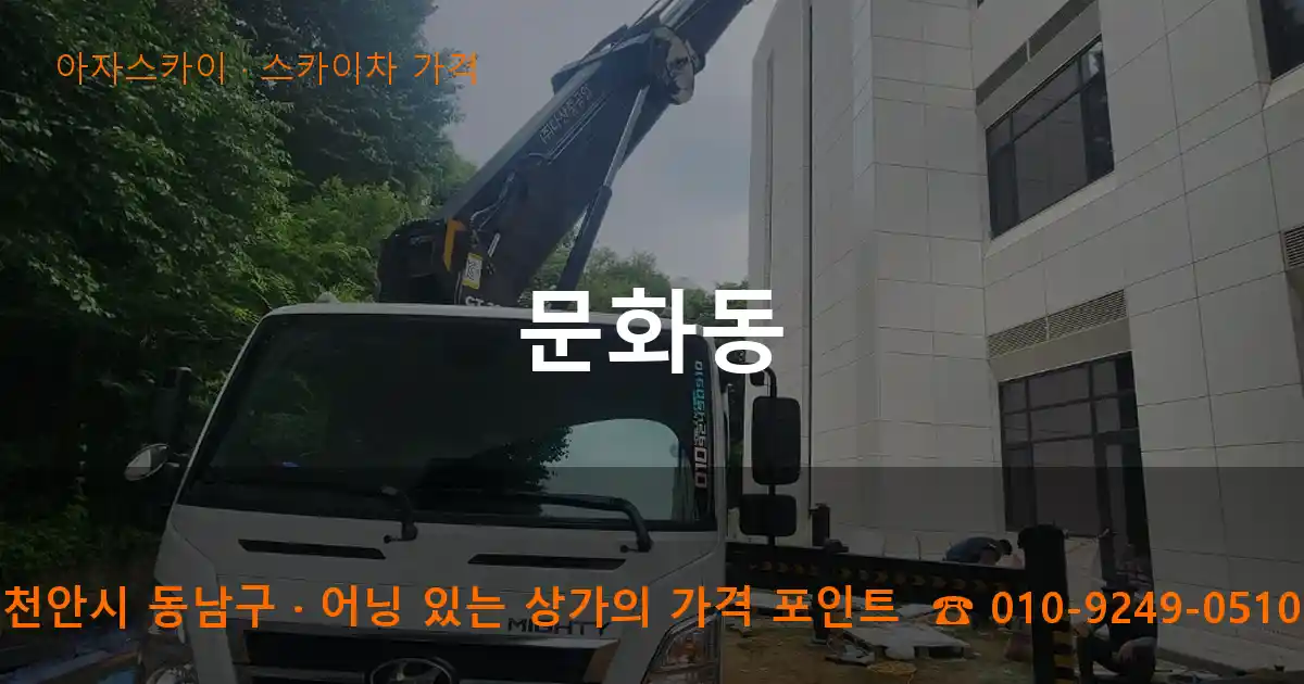 천안시 동남구 문화동 스카이차 가격 작업