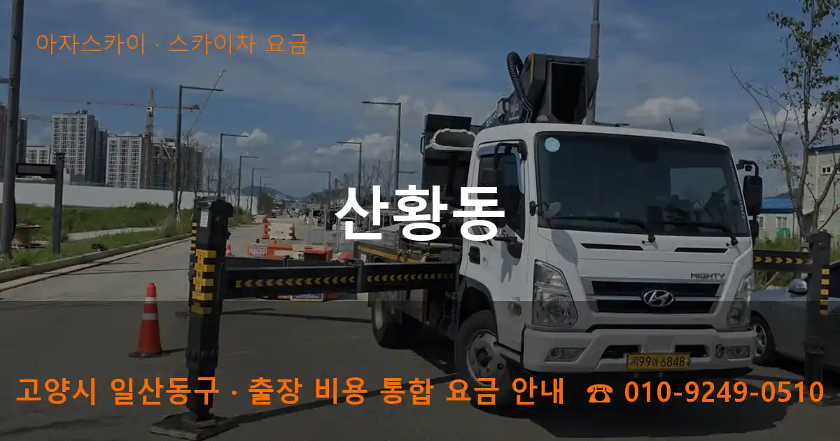 고양 일산동구 산황동 스카이차 요금 작업