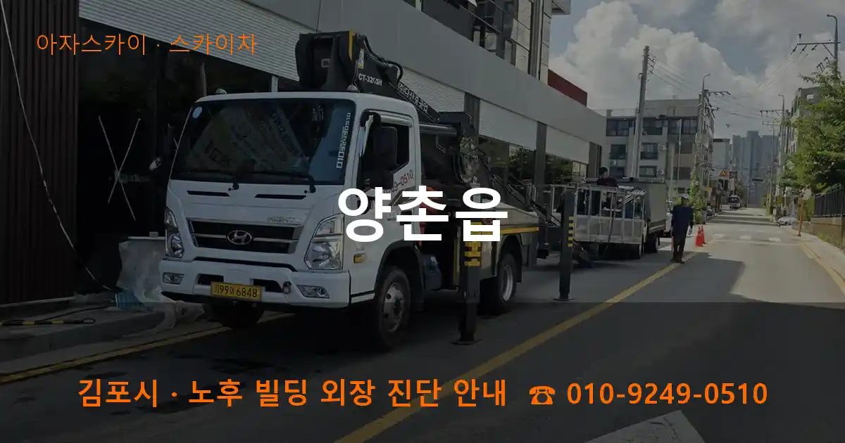 김포시 양촌읍 스카이차 작업