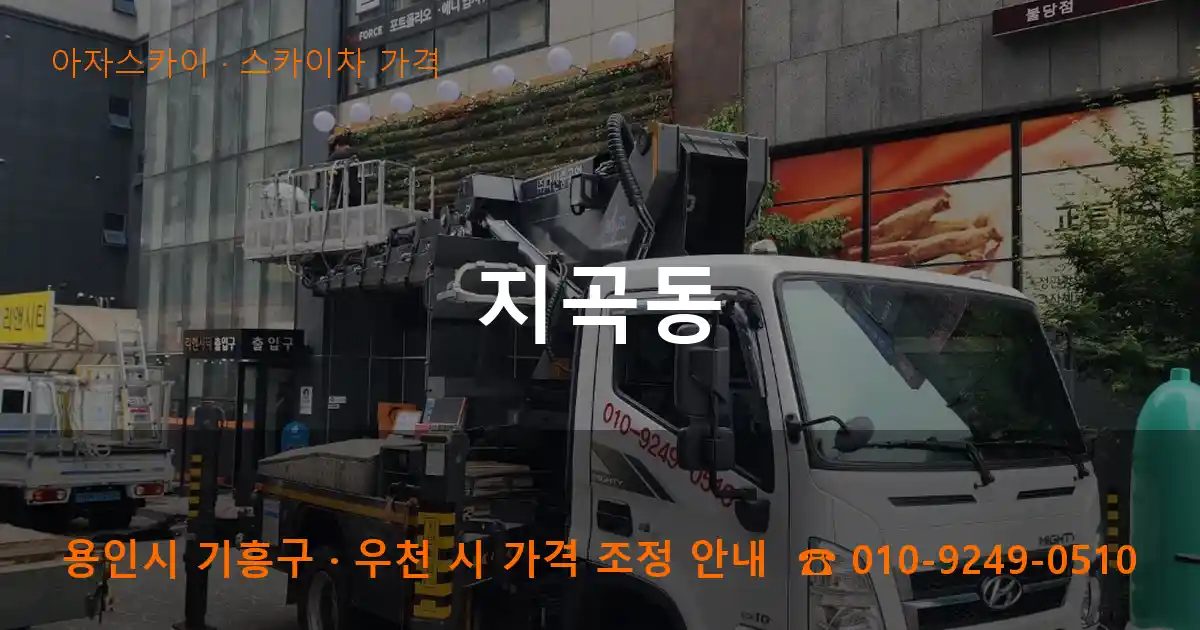용인시 기흥구 지곡동 스카이차 가격 작업