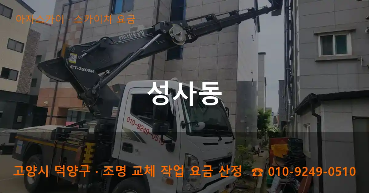 고양시 덕양구 성사동 스카이차 요금 작업