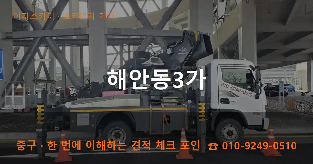 중구 해안동3가 스카이차 가격 작업