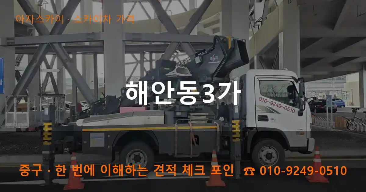 중구 해안동3가 스카이차 가격 작업