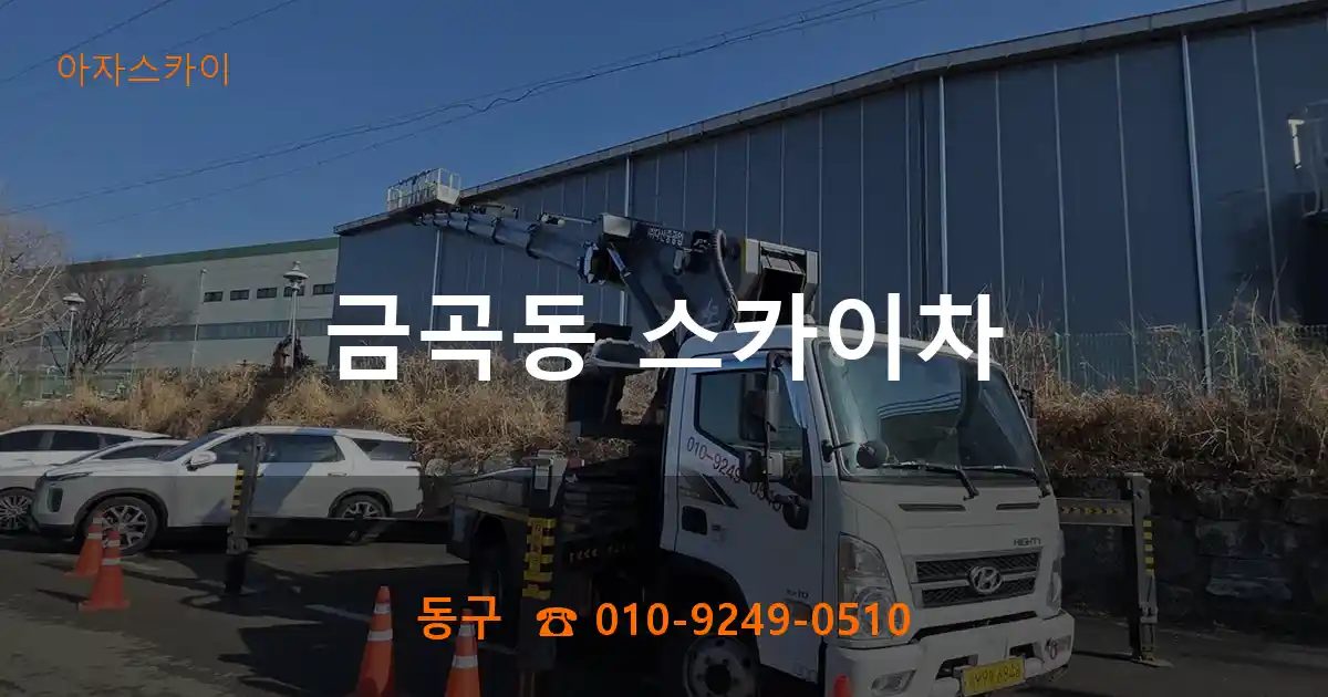동구 금곡동 스카이차