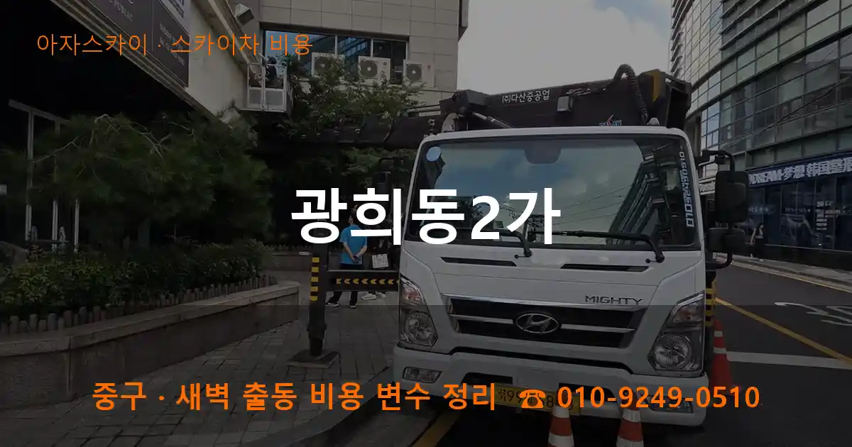 중구 광희동2가 스카이차 비용 작업
