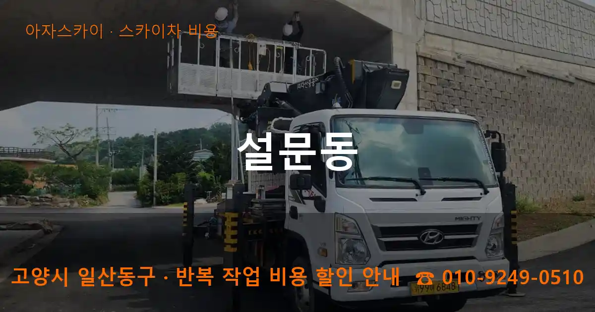 고양 일산동구 설문동 스카이차 비용 작업