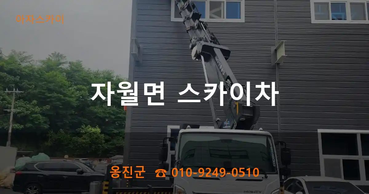 옹진군 자월면 스카이차