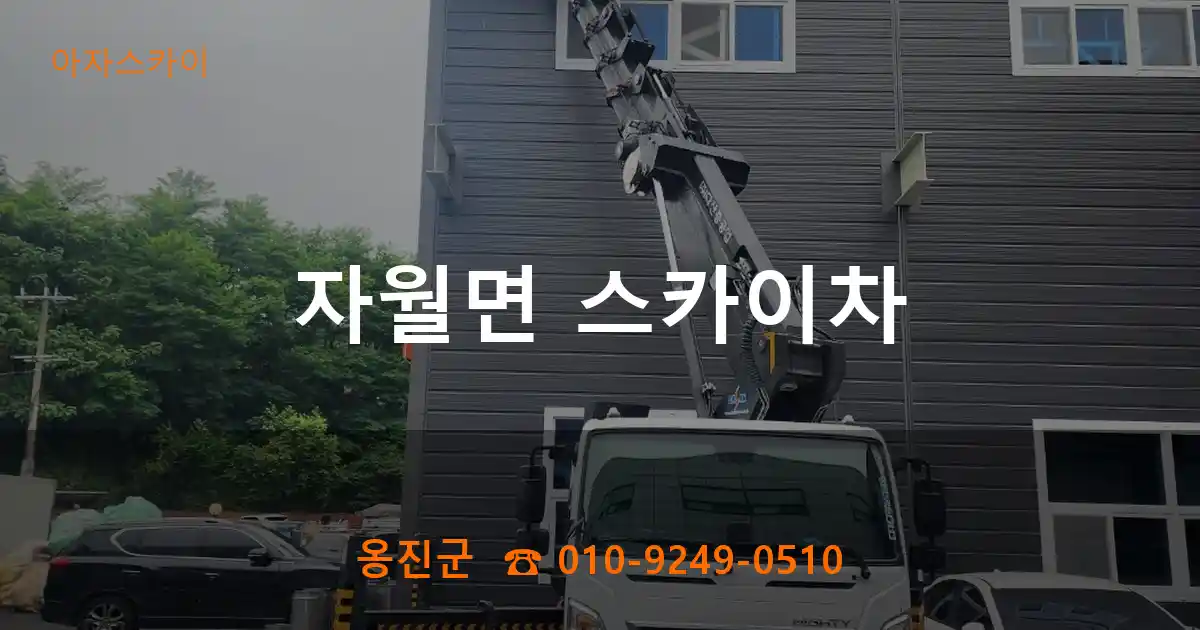 옹진군 자월면 스카이차