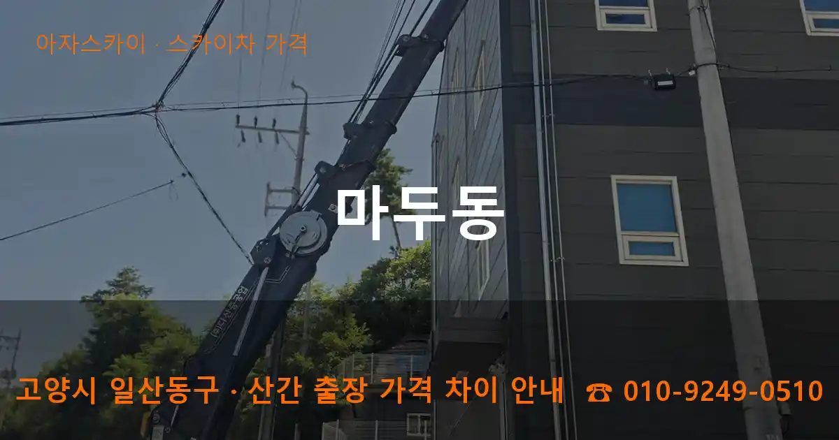 고양시 일산동구 마두동 스카이차 가격 작업