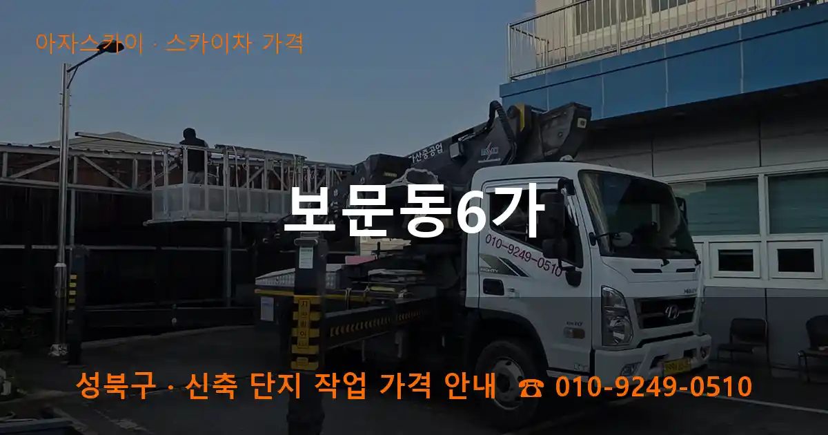 성북구 보문동6가 스카이차 가격 작업