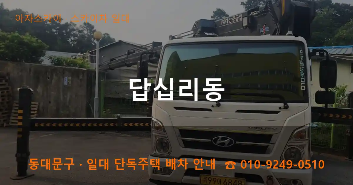 동대문구 답십리동 스카이차 일대 작업
