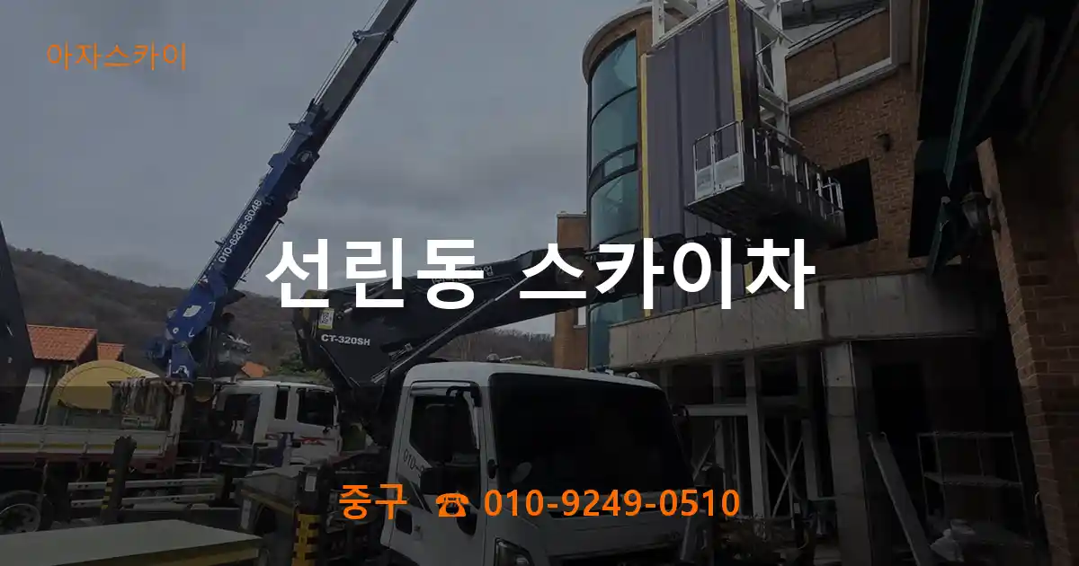 중구 선린동 스카이차
