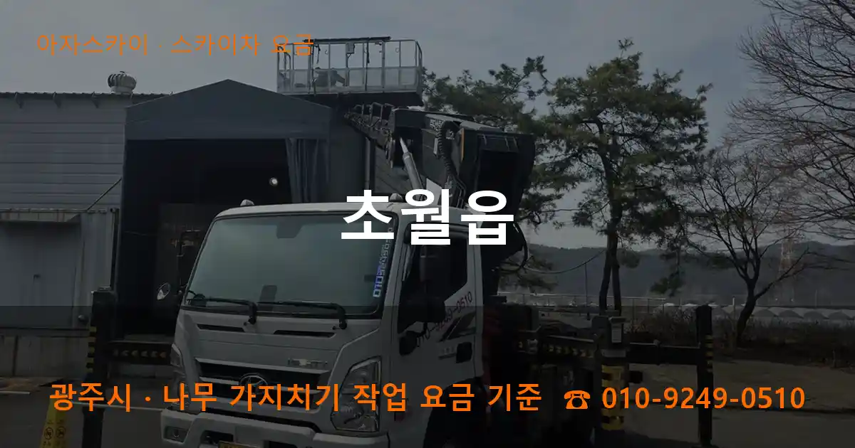 광주시 초월읍 스카이차 요금 작업