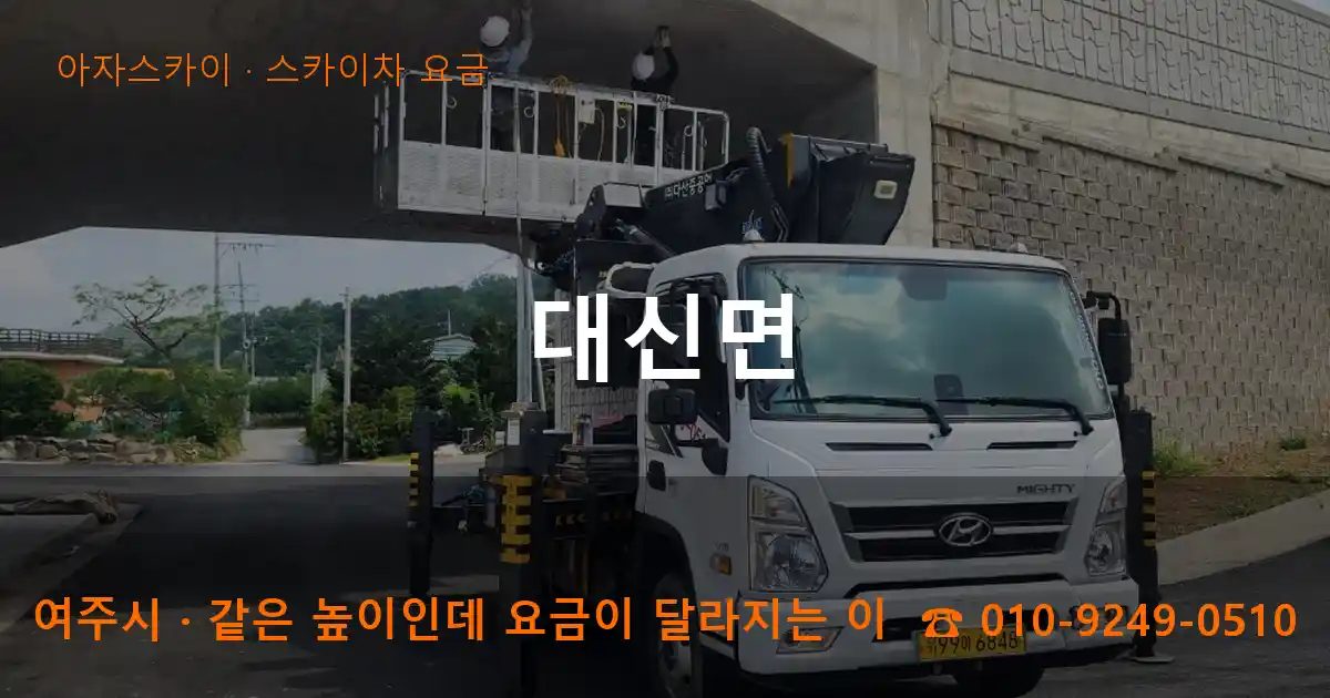 여주시 대신면 스카이차 요금 작업