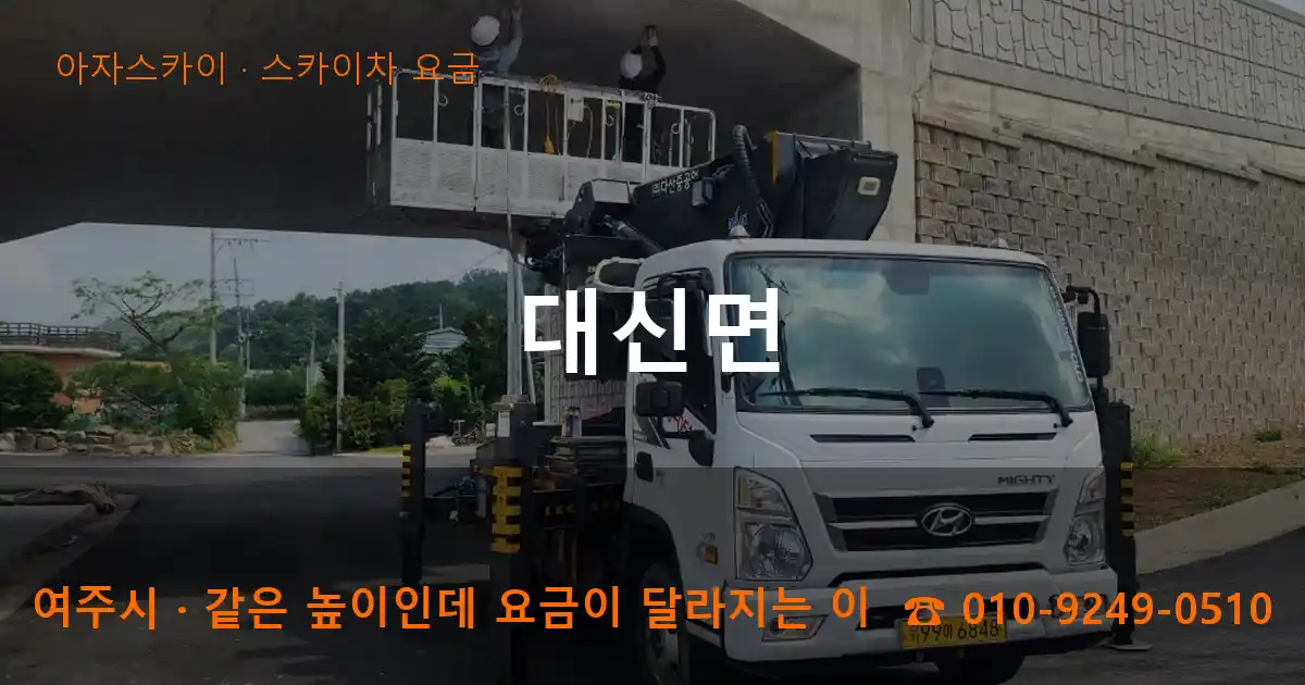 여주시 대신면 스카이차 요금 작업