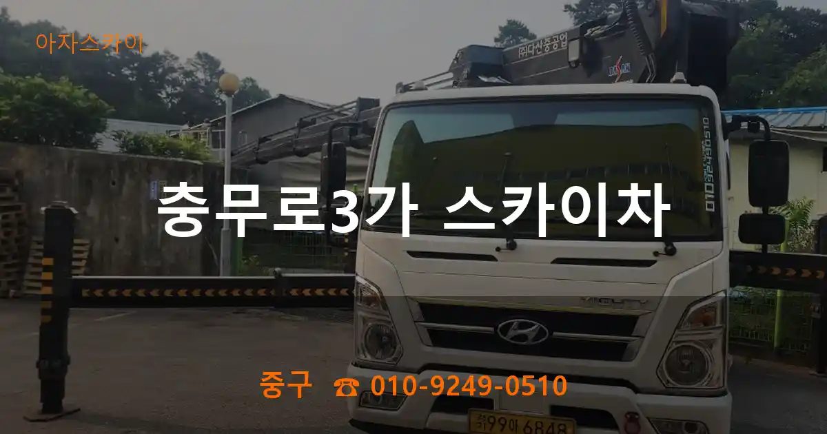 중구 충무로3가 스카이차
