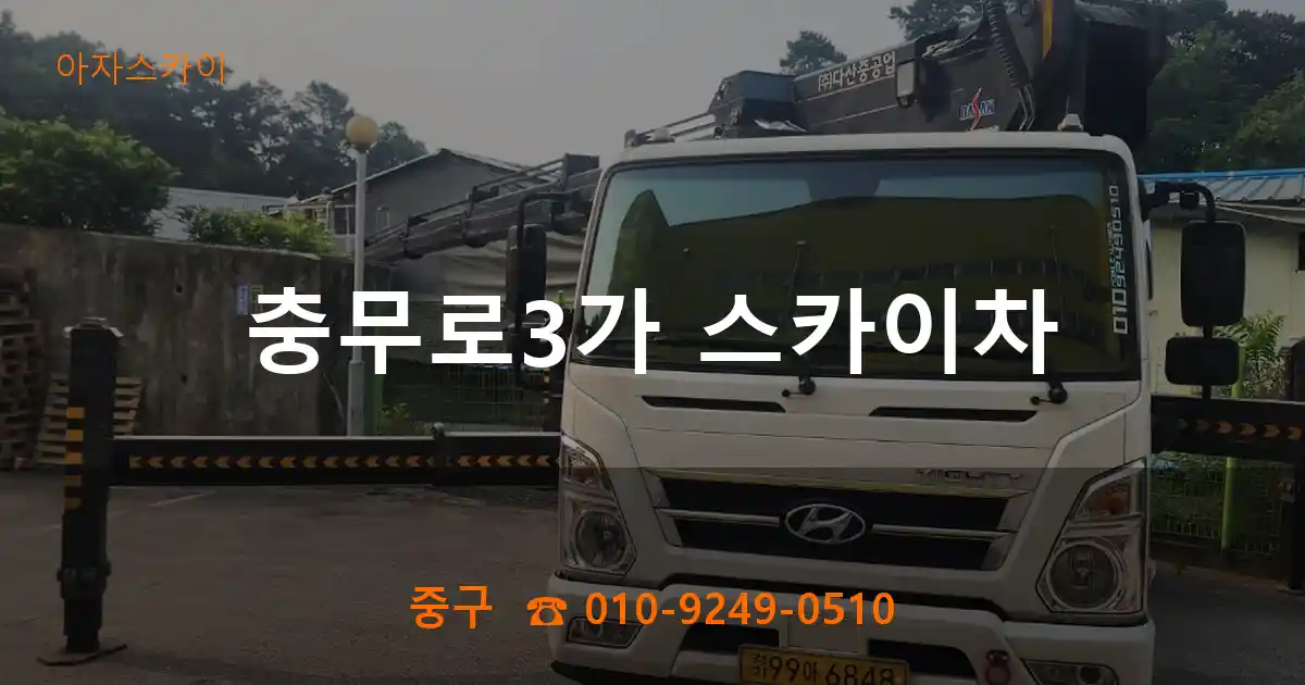 중구 충무로3가 스카이차