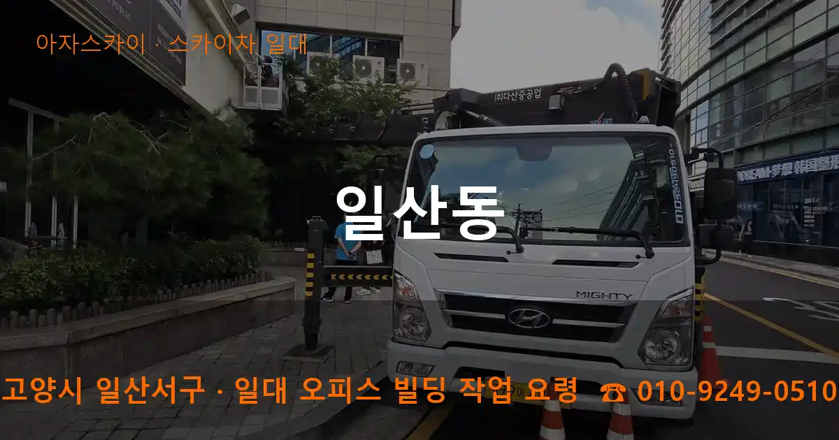 고양시 일산서구 일산동 스카이차 일대 작업