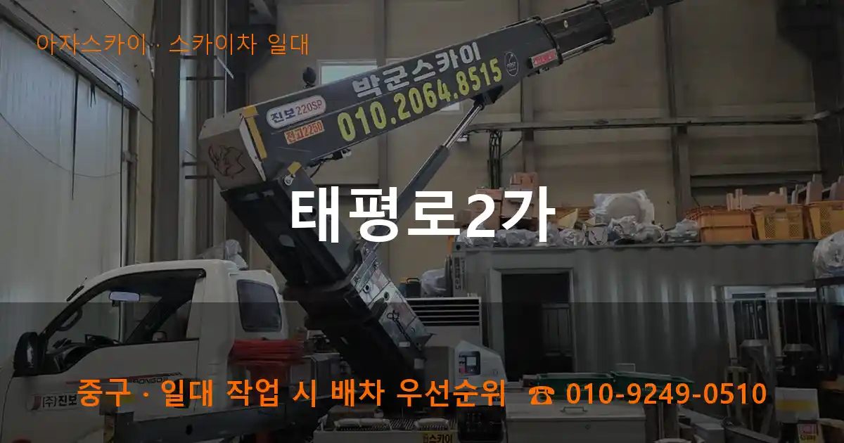 중구 태평로2가 스카이차 출장 작업
