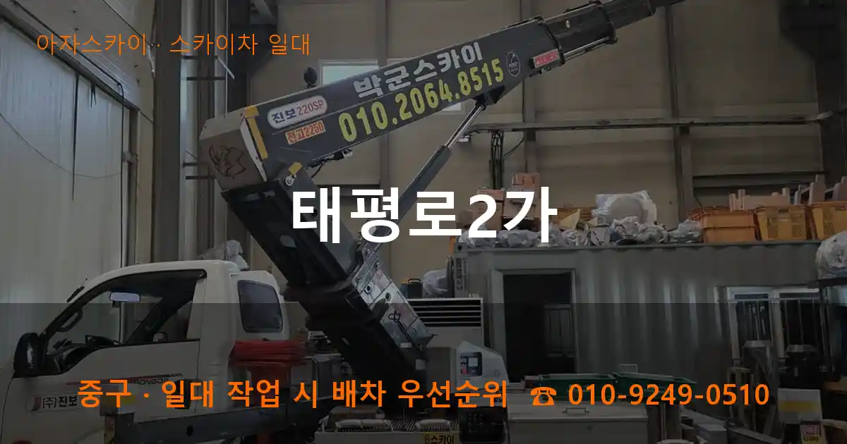 중구 태평로2가 스카이차 일대 작업