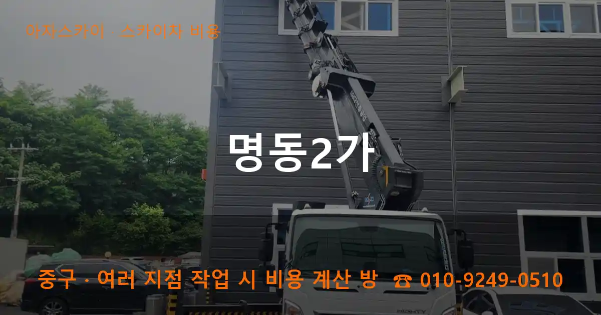 중구 명동2가 스카이차 비용 작업