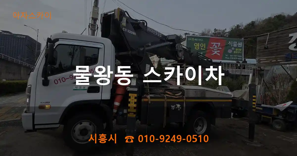 시흥시 물왕동 스카이차