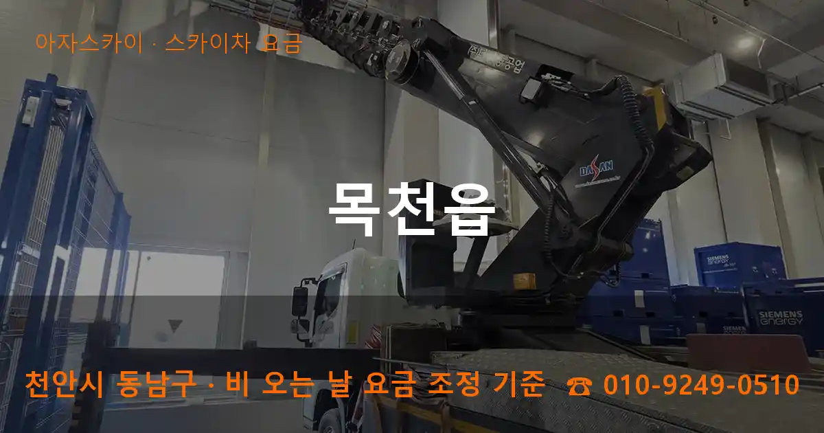 천안 동남구 목천읍 스카이차 요금 작업
