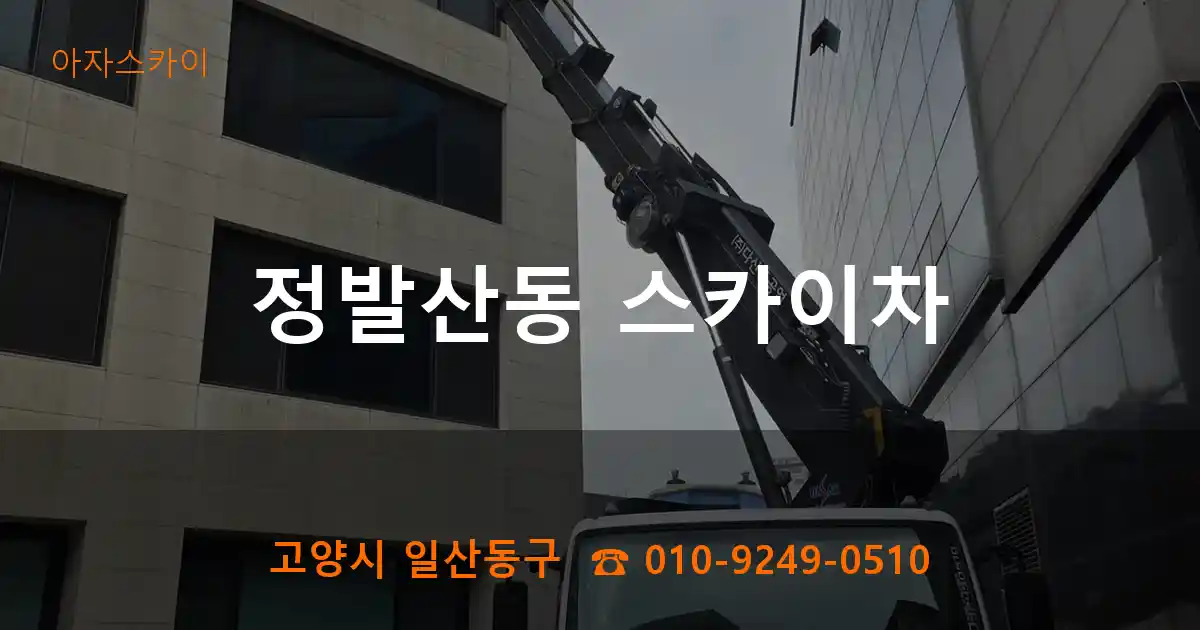 고양시 일산동구 정발산동 스카이차