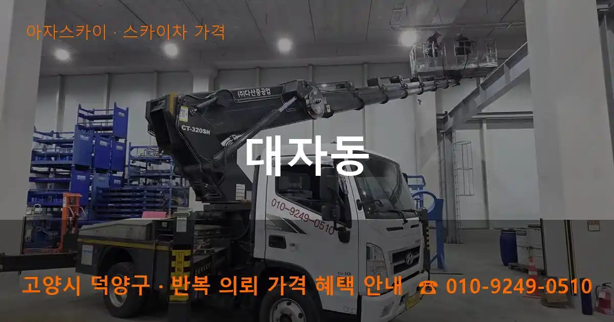 고양시 덕양구 대자동 스카이차 가격 작업